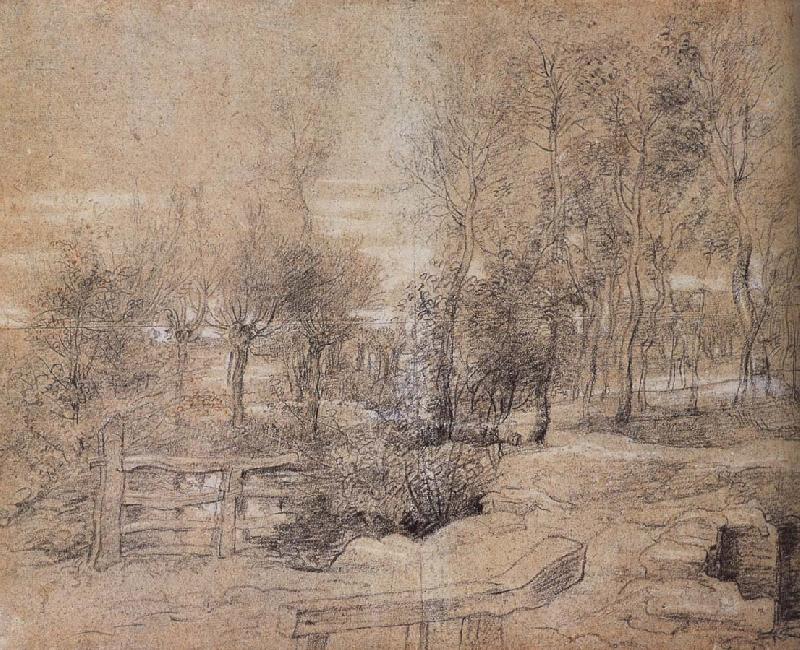 Peter Paul Rubens Forest landscape